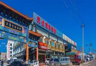 西湖区会议植物租赁好不好